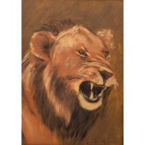 DILL, OTTO (1884-1957), "Kopf eines Löwen",