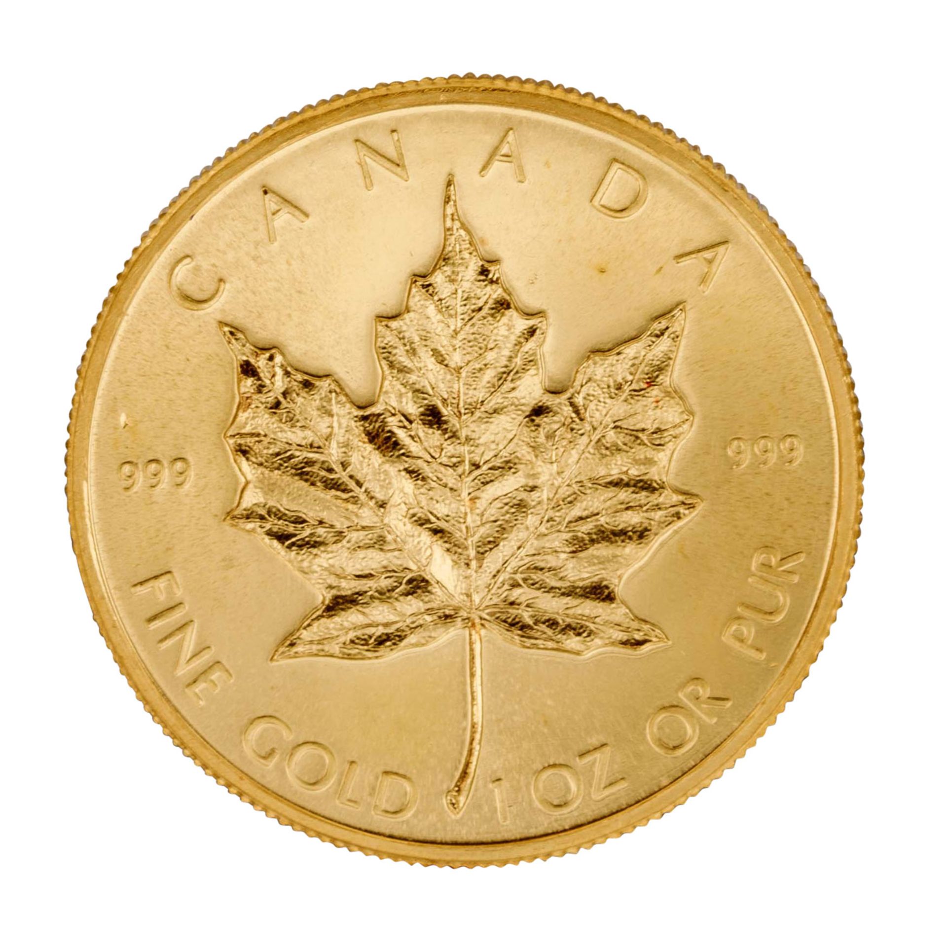 Kanada/GOLD - 50 Dollars 1979, Maple Leaf, vz-, - Image 2 of 2