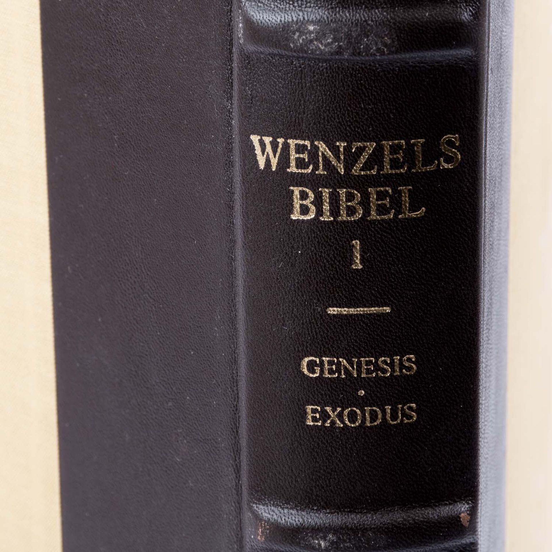 Faksimile "Die Wenzelsbibel" Band 1 - Genesis und Exodus - - Bild 6 aus 10