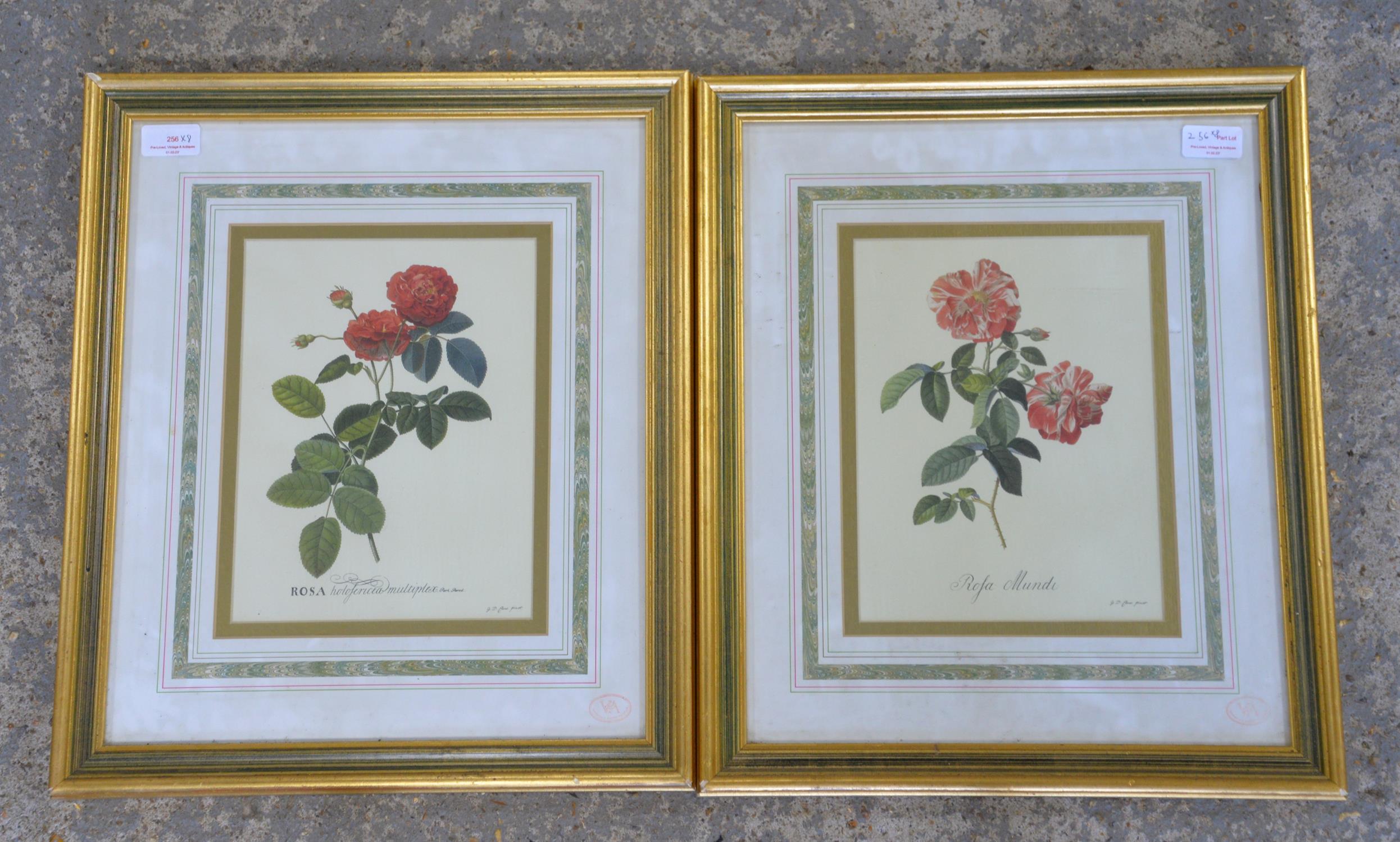 After Pierre-Joseph Redoute, set of six reproduction floral prints, framed and glazed,