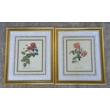 After Pierre-Joseph Redoute, set of six reproduction floral prints, framed and glazed,