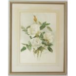 Pair of modern watercolour drawings depicting flowers, signed indistinctly, 46 x 35cm each,