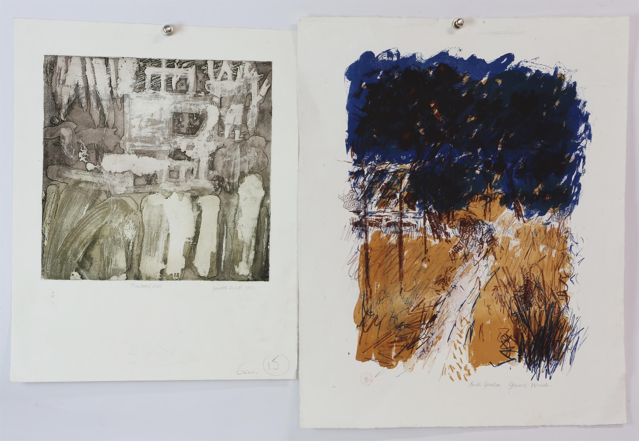 Gerald Woods (1942-2004), 'Back Garden', lithograph in colours, signed in pencil to margin,