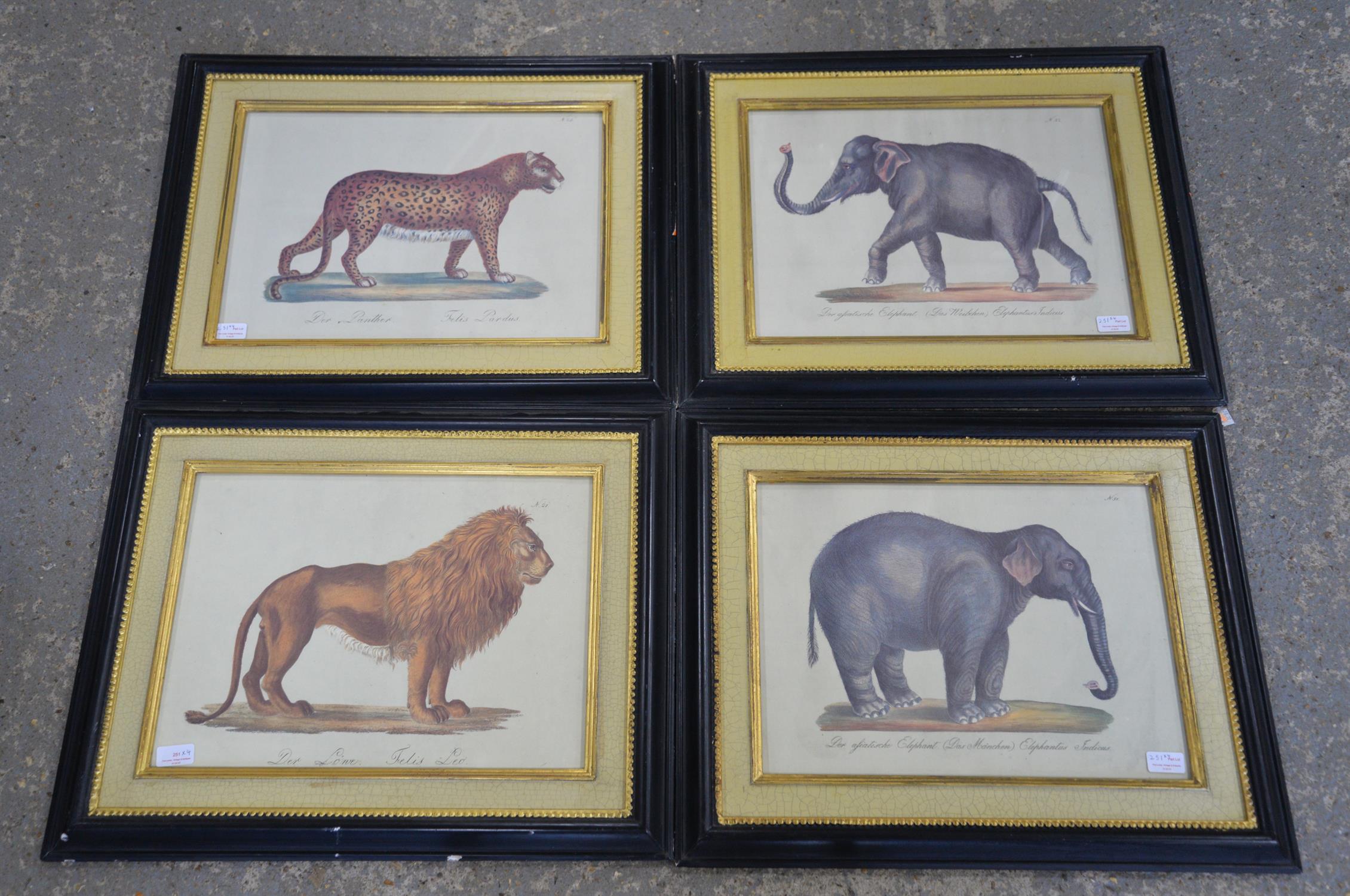 Set of four restrike prints in colours depicting two elephants, a tiger and a lion, framed,