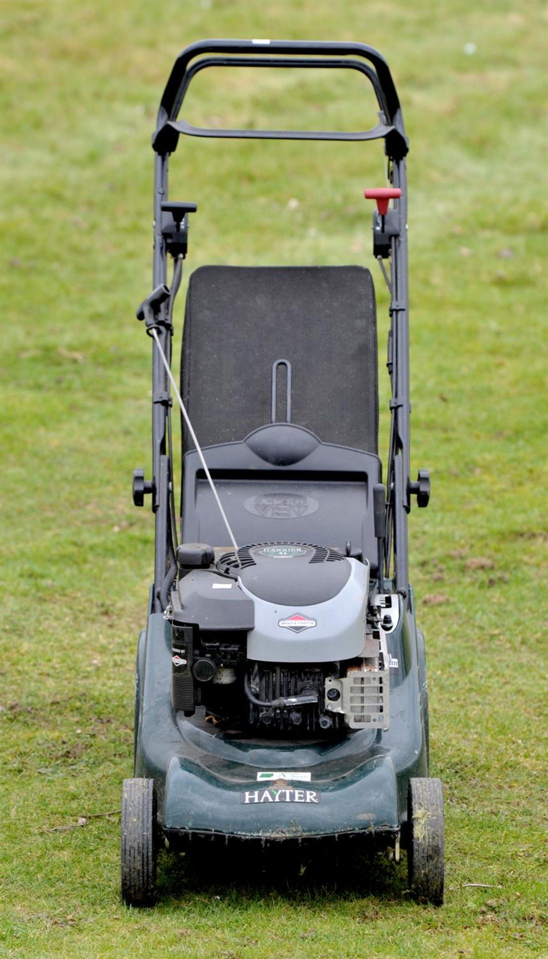 Hayter Harrier 41 lawnmower, Briggs & Stratton Lawn Mowers, purchased from Andrews of Hindhead - Image 3 of 9