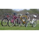 Four Bicycles to include Apollo, Raleigh white ladies cycle, Carrera Boys bike, Dawes Gents bike in