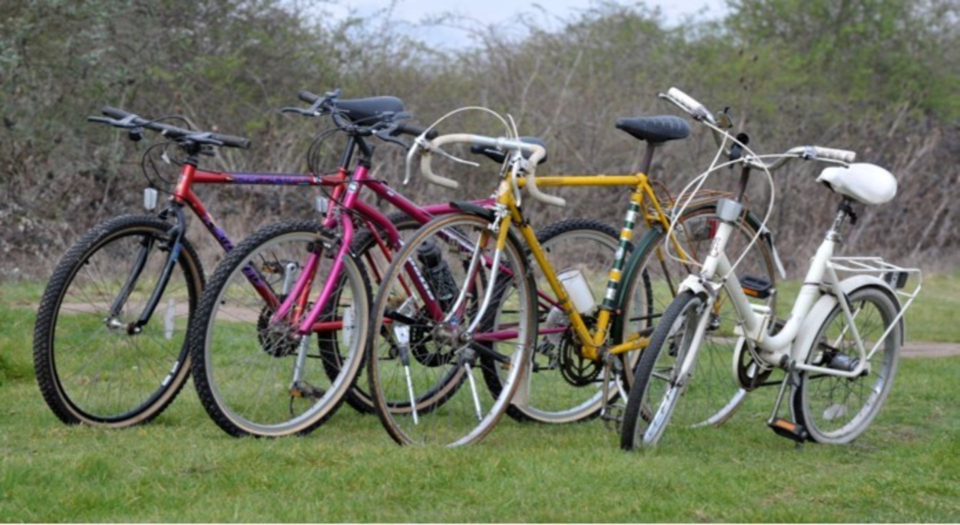 Four Bicycles to include Apollo, Raleigh white ladies cycle, Carrera Boys bike, Dawes Gents bike in