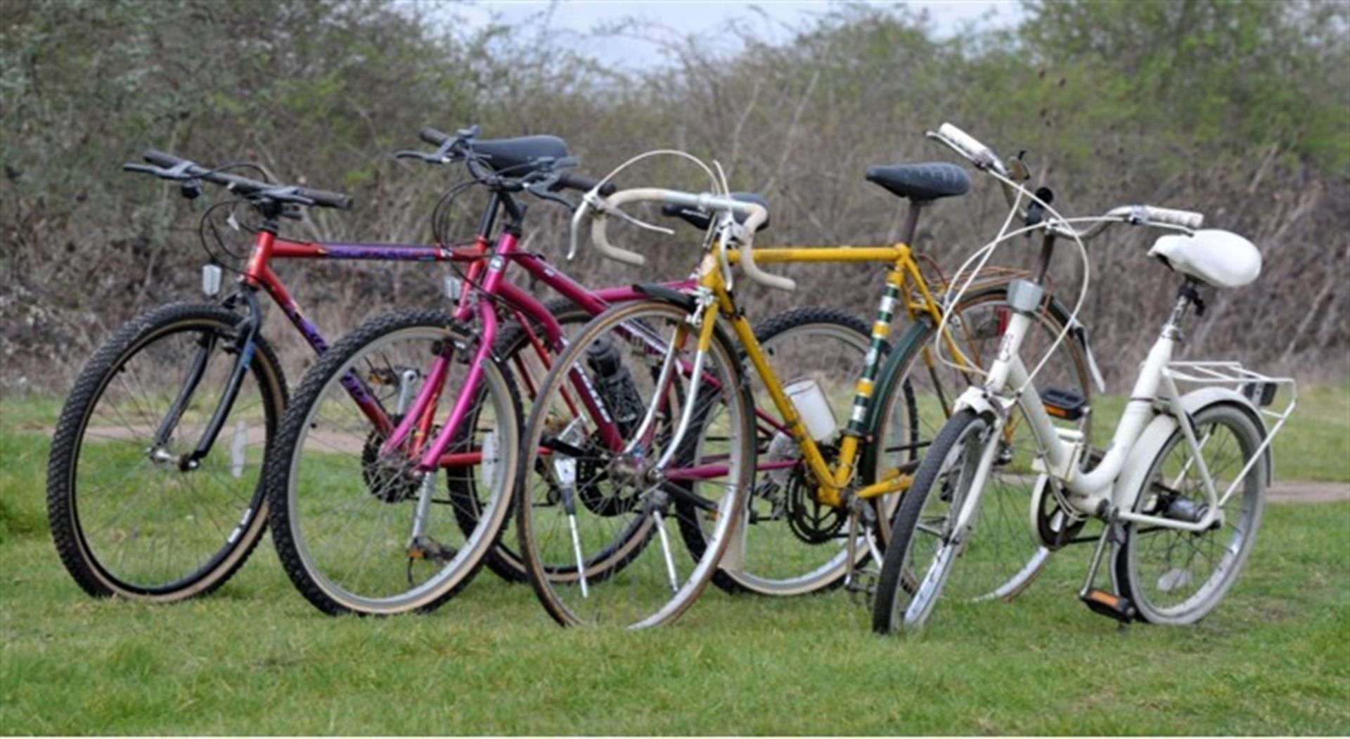 Four Bicycles to include Apollo, Raleigh white ladies cycle, Carrera Boys bike, Dawes Gents bike in - Image 2 of 5