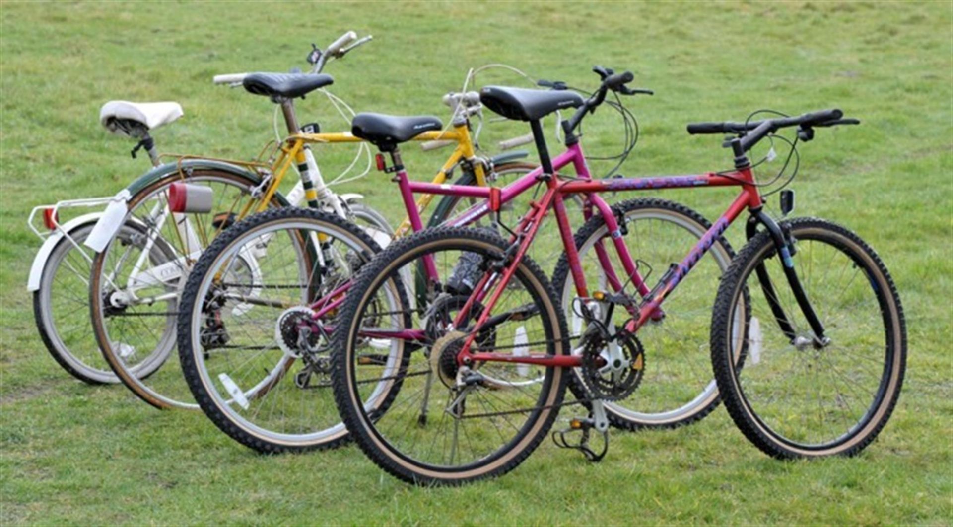 Four Bicycles to include Apollo, Raleigh white ladies cycle, Carrera Boys bike, Dawes Gents bike in - Image 4 of 5