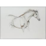Lydia Kiernani (contemporary), study of a galloping horse (2000), watercolour and charcoal on paper,