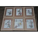 Six Chinese framed embroideries of birds in branches, 58 x 48cm (6)