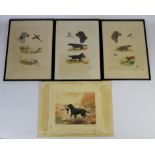 Collection of prints, mainly depicting hunting dogs, to include two signed aquatints by Reuben Ward