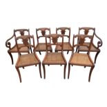 Half set of seven regency mahogany dining chairs, acanthus carved backs and caned seat on sabre