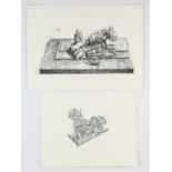 Sir Eduardo Paolozzi RA (British, 1924-2005), two lithographs from the Kew Studies series, unsigned,