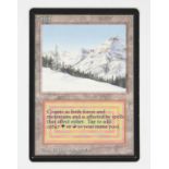 Magic The Gathering TCG - Taiga - Beta