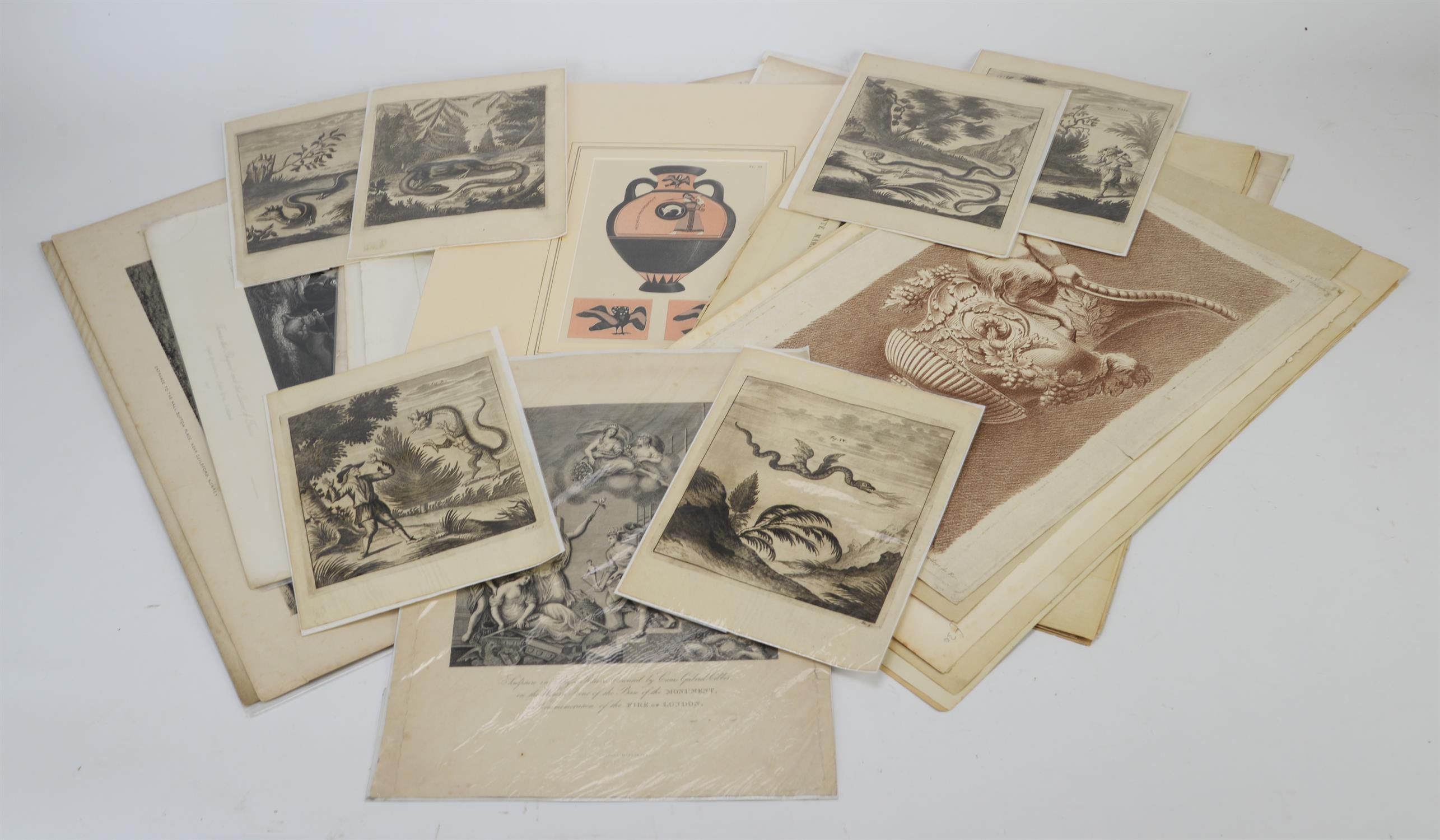 A group of assorted prints and engravings Including flora and fauna, portraiture, - Image 2 of 2