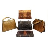 Five various crocodile handbags