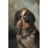 S** M** (19th/early 20th century), Trig: study of a dog, oil on canvas, signed with initials lower