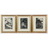 Charles Frederick Tunnicliffe (British, 1901-1979), Badger; Otters; Seals, three woodblock prints,