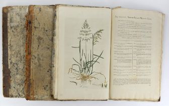 Curtis, William, 1746-1799 Flora londinensis: or plates and descriptions of such plants as grow