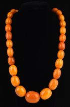 1920's graduated amber necklace, oval shaped beads strung without knots, largest bead measuring 25