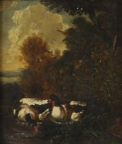 Manner of Melchior de Hondecoeter, Ducks at the edge of a pond, oil on panel, 26 x 22cm. Framed