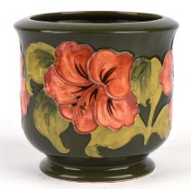 Walter Moorcroft (British, 1917 - 2002) for Moorcroft Hibiscus planter in peach corals on a green