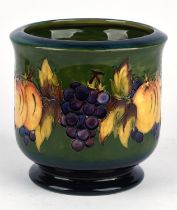Marjorie Kubanda for Moorcroft, jardinere in fruit and vine pattern, decorated with a band of