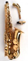 A alto saxophone, The Horn, Trevor James, in a case