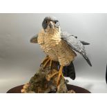 Brooks and Bentley bird of prey figure with certificate