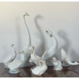 Nao by Lladro Geese 8x various Sizes