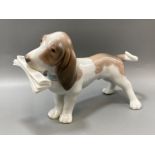 Lladro 6389 ‘Bassett hound holding a Newspaper’ in good condition