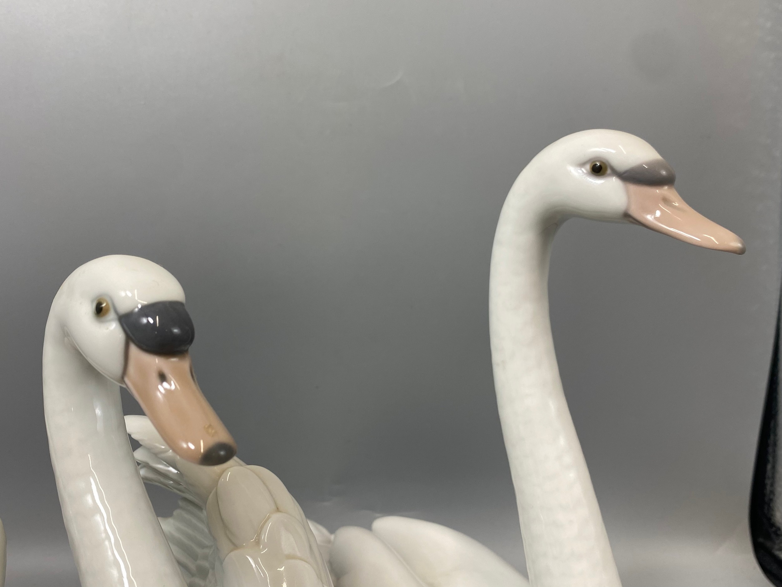 A pair of Lladro Swans to include 5230 & 5231 both in good condition - Image 4 of 4