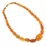 A graduated amber bead single-strand necklace.