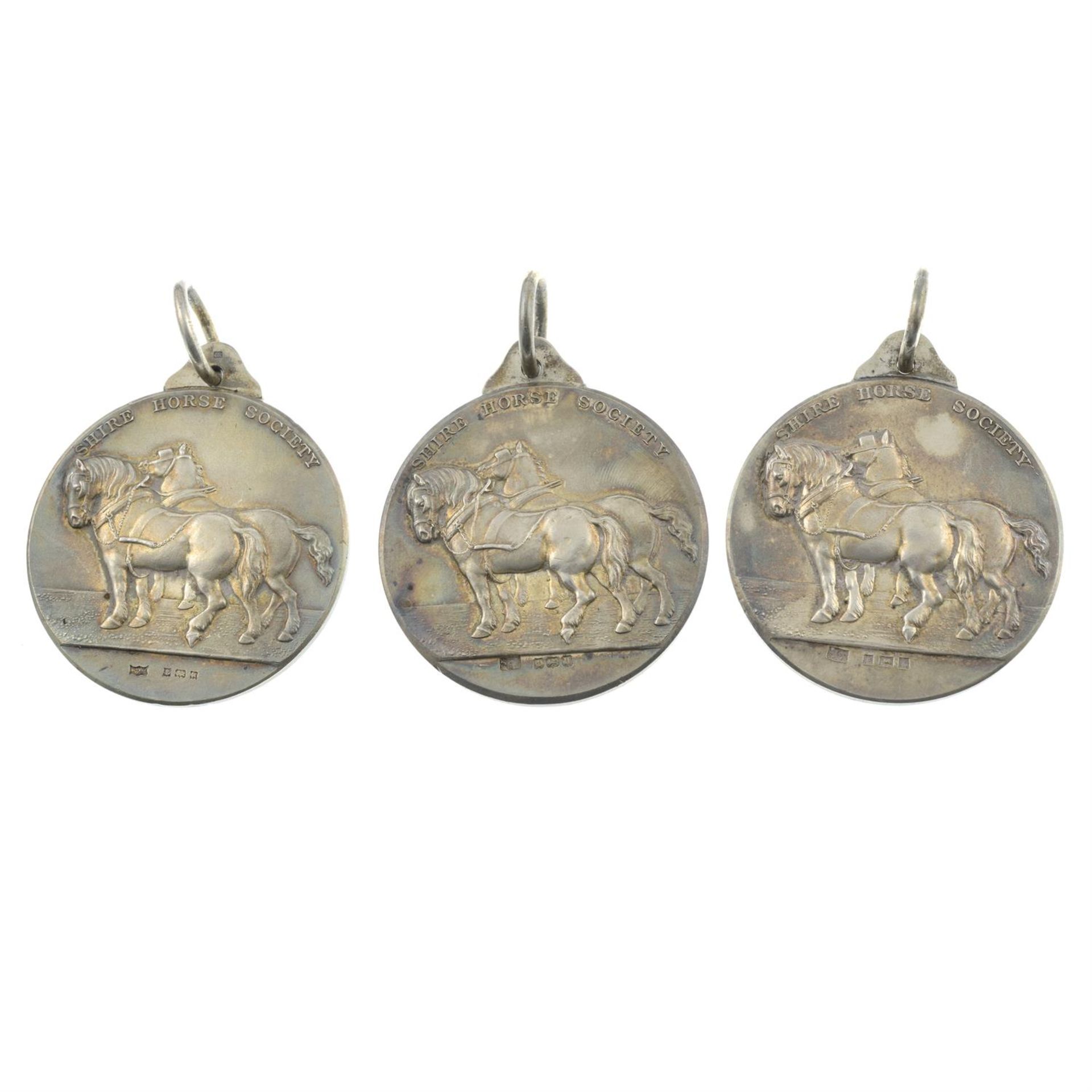 Shire Horse Society, eleven sterling silver prize medals by Mappin & Webb. (11). - Bild 2 aus 4
