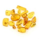 A selection of vari-shape amber, weight 23.87cts.