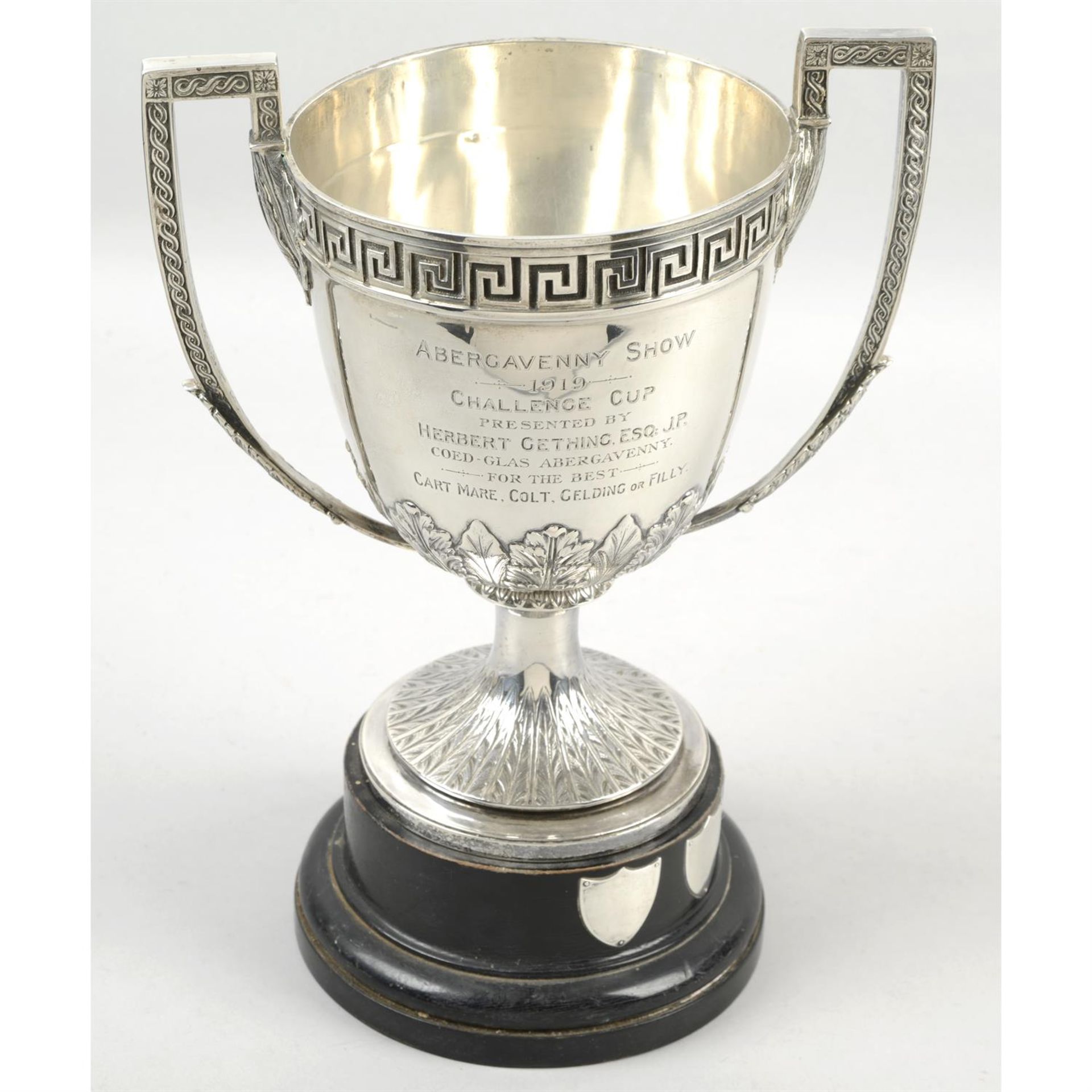 An Edwardian silver twin-handled trophy cup 'Abergavenny Show 1919 Challenge Cup'.