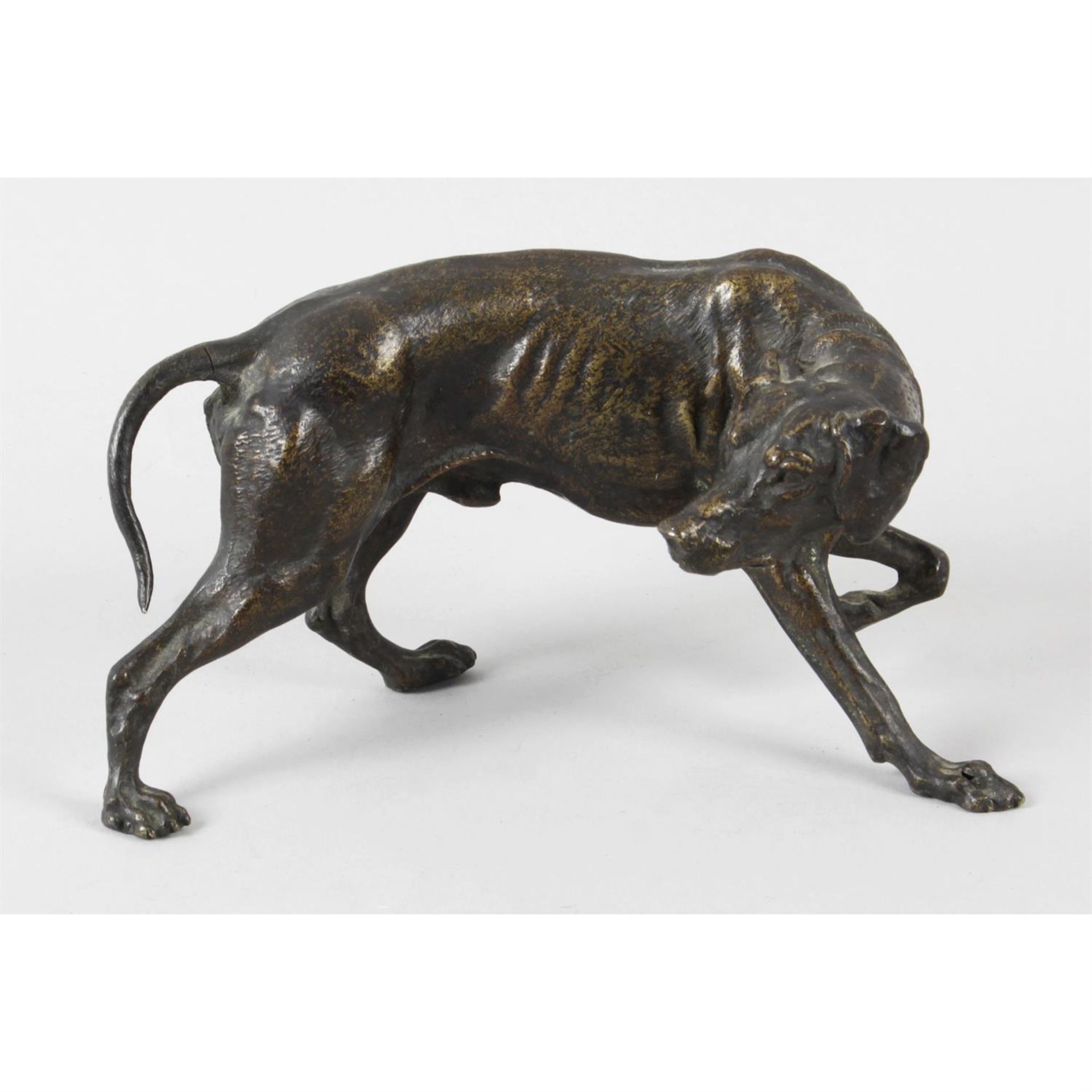 A late 19th century bronze study of a hound.