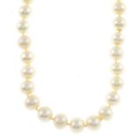 A freshwater cultured pearl single-strand necklace, with push-piece clasp.