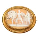 An early 20th century gold shell cameo brooch.