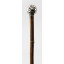 A novelty walking cane.