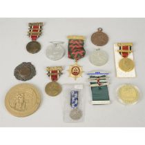 Large collection of assorted medals and medallions.