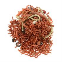 Assorted coral beads