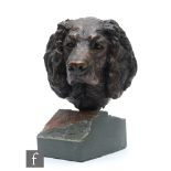 A 20th Century bronzed cold cast study of a spaniel, on natural slate base, height 29cm.