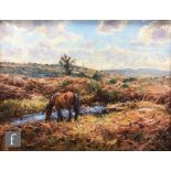 BARRY ARTHUR PECKHAM, ROI, RSMA (BORN 1945) - 'Pony at Ashley Heath, New Forest', oil on canvas,