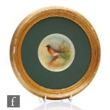 A Royal Worcester framed circular plaque, hand painted by A. Hallam with a redstart, possibly a