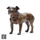 A 19th Century bronze model of a standing bulldog, length 12cm.