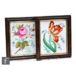 Two late 19th to early 20th Century framed hand painted panels each decorated with a botanical