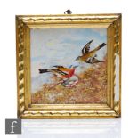 A late 19th Century framed hand painted porcelain panel decorated with two garden birds, one perched