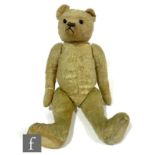 An early 20th Century English teddy bear, blonde mohair, boot button eyes, shaved muzzle with